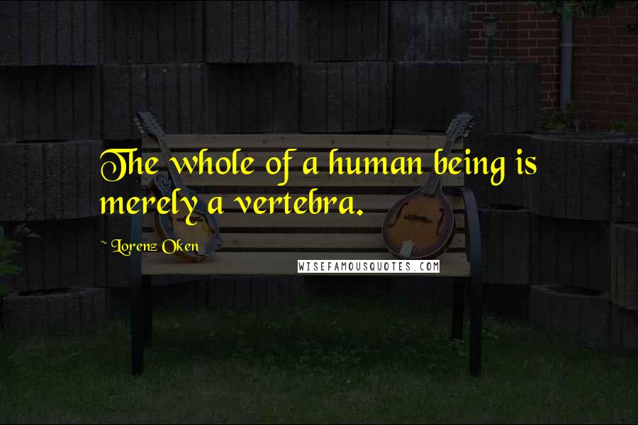 Lorenz Oken Quotes: The whole of a human being is merely a vertebra.