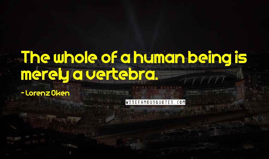 Lorenz Oken Quotes: The whole of a human being is merely a vertebra.