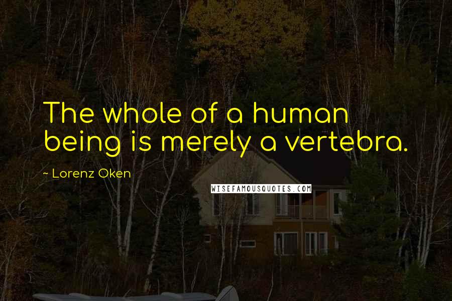 Lorenz Oken Quotes: The whole of a human being is merely a vertebra.