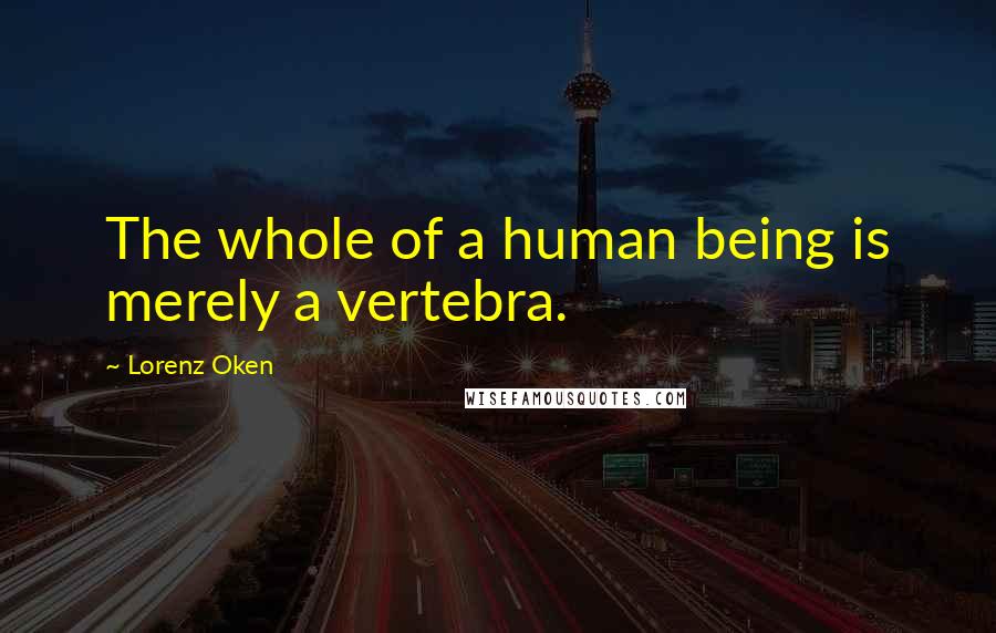 Lorenz Oken Quotes: The whole of a human being is merely a vertebra.