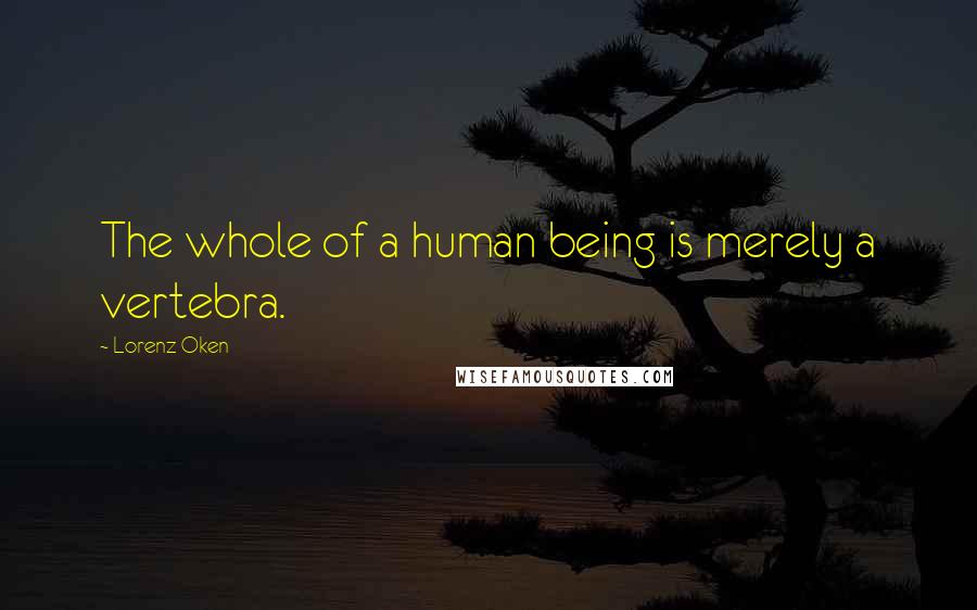 Lorenz Oken Quotes: The whole of a human being is merely a vertebra.