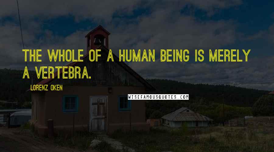 Lorenz Oken Quotes: The whole of a human being is merely a vertebra.