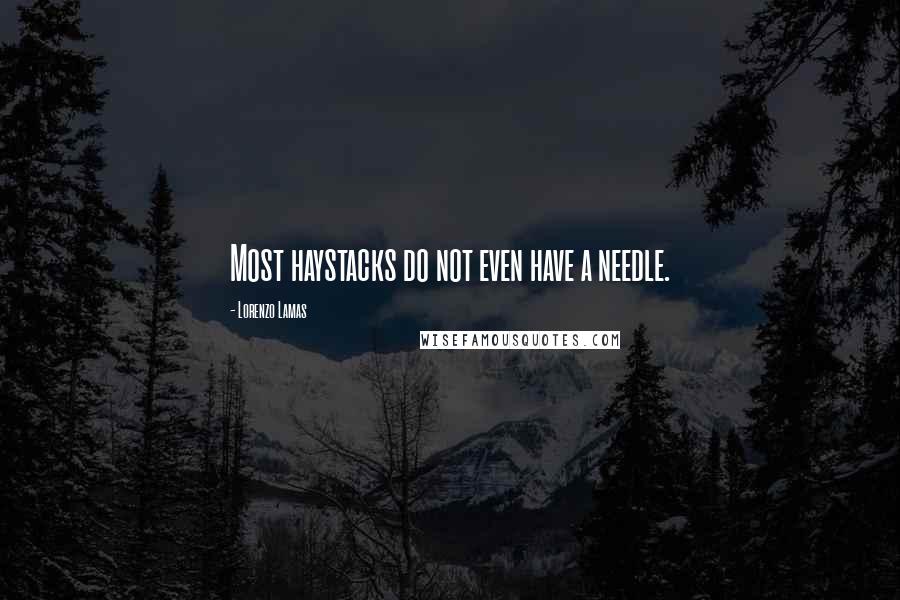 Lorenzo Lamas Quotes: Most haystacks do not even have a needle.