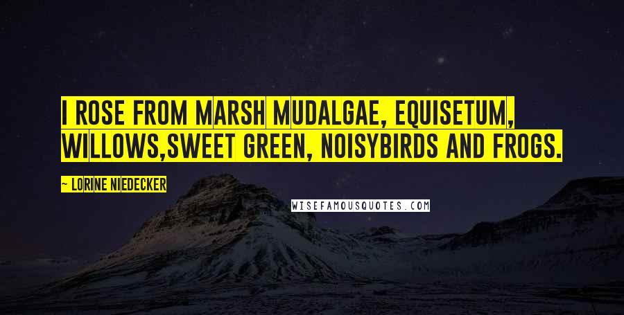 Lorine Niedecker Quotes: I rose from marsh mudalgae, equisetum, willows,sweet green, noisybirds and frogs.