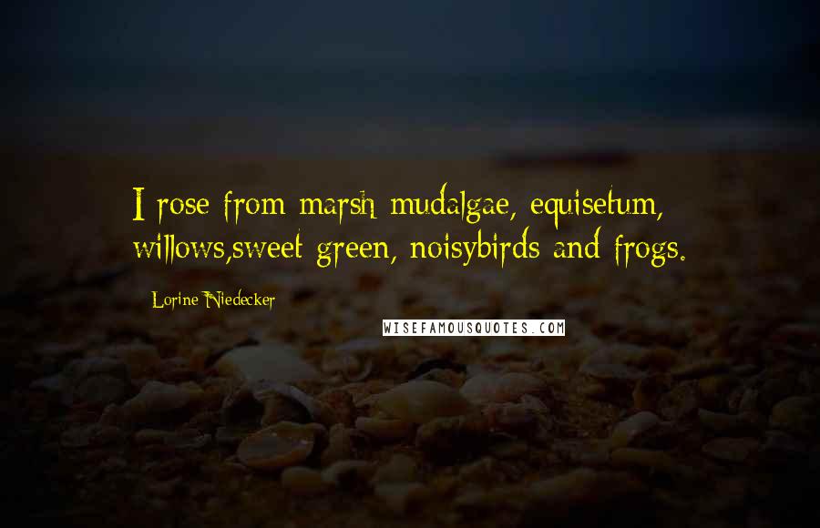 Lorine Niedecker Quotes: I rose from marsh mudalgae, equisetum, willows,sweet green, noisybirds and frogs.
