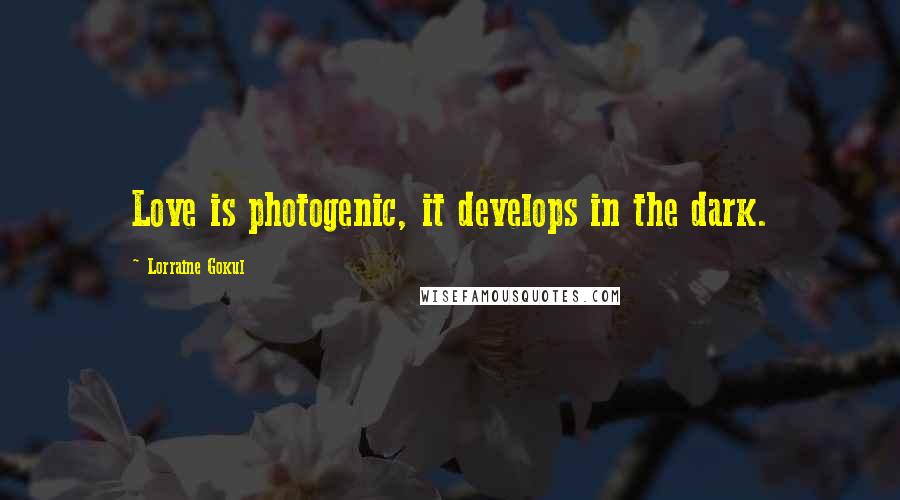 Lorraine Gokul Quotes: Love is photogenic, it develops in the dark.