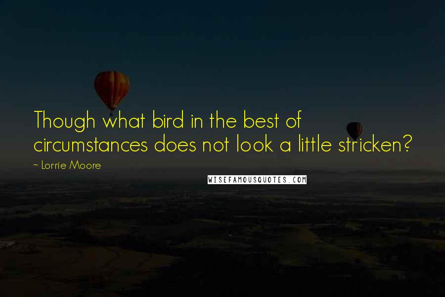 Lorrie Moore Quotes: Though what bird in the best of circumstances does not look a little stricken?