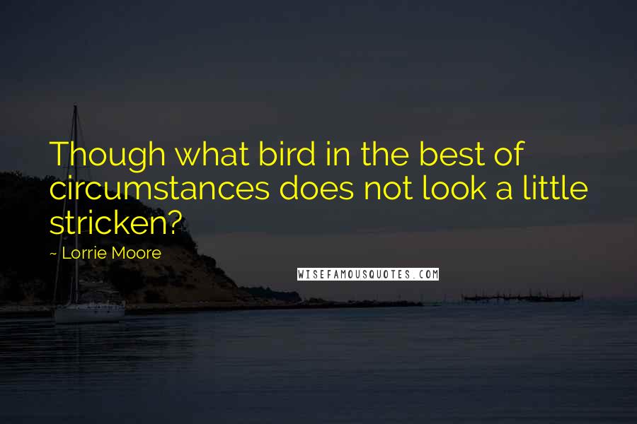 Lorrie Moore Quotes: Though what bird in the best of circumstances does not look a little stricken?