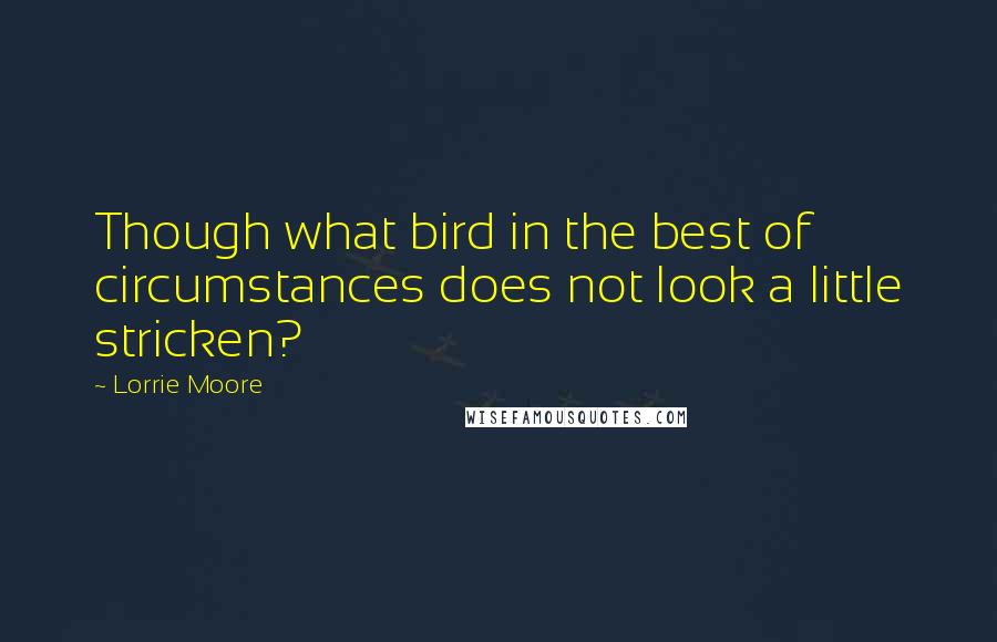 Lorrie Moore Quotes: Though what bird in the best of circumstances does not look a little stricken?