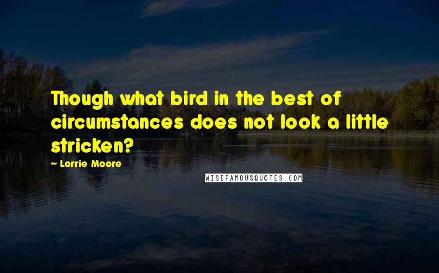 Lorrie Moore Quotes: Though what bird in the best of circumstances does not look a little stricken?