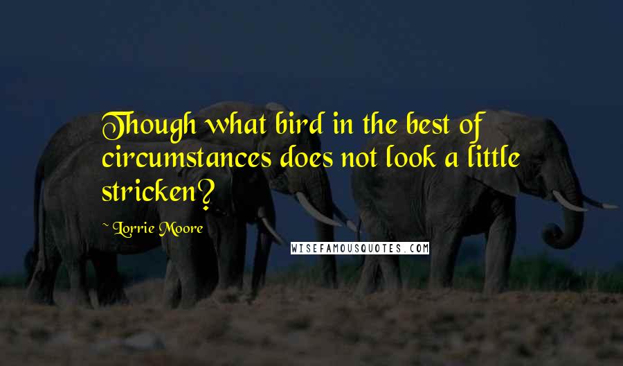 Lorrie Moore Quotes: Though what bird in the best of circumstances does not look a little stricken?