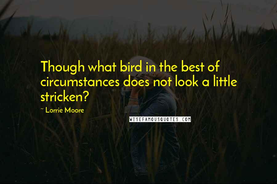 Lorrie Moore Quotes: Though what bird in the best of circumstances does not look a little stricken?