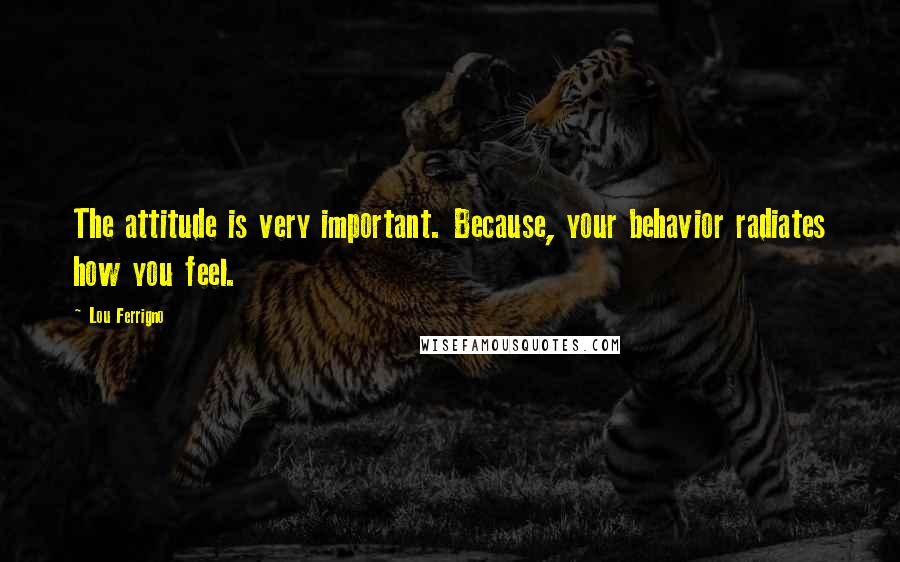 Lou Ferrigno Quotes: The attitude is very important. Because, your behavior radiates how you feel.