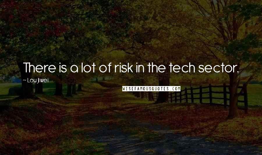 Lou Jiwei Quotes: There is a lot of risk in the tech sector.