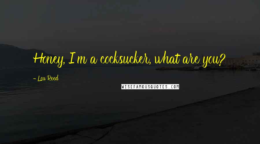 Lou Reed Quotes: Honey, I'm a cocksucker, what are you?