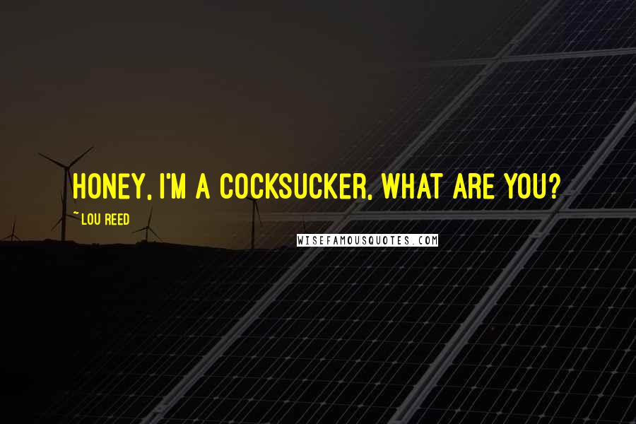 Lou Reed Quotes: Honey, I'm a cocksucker, what are you?