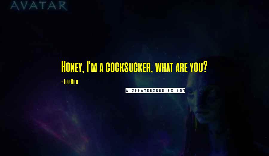 Lou Reed Quotes: Honey, I'm a cocksucker, what are you?