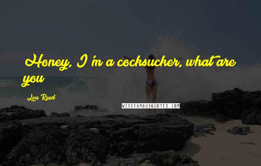 Lou Reed Quotes: Honey, I'm a cocksucker, what are you?