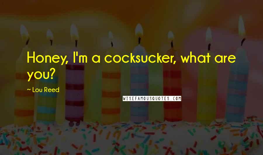 Lou Reed Quotes: Honey, I'm a cocksucker, what are you?