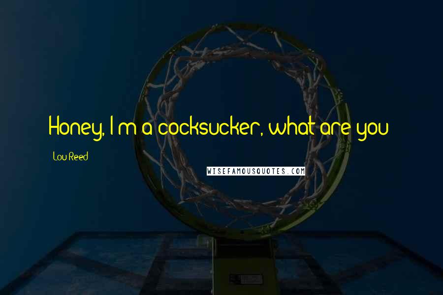 Lou Reed Quotes: Honey, I'm a cocksucker, what are you?