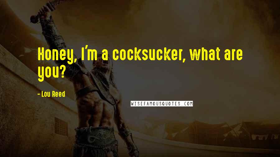 Lou Reed Quotes: Honey, I'm a cocksucker, what are you?