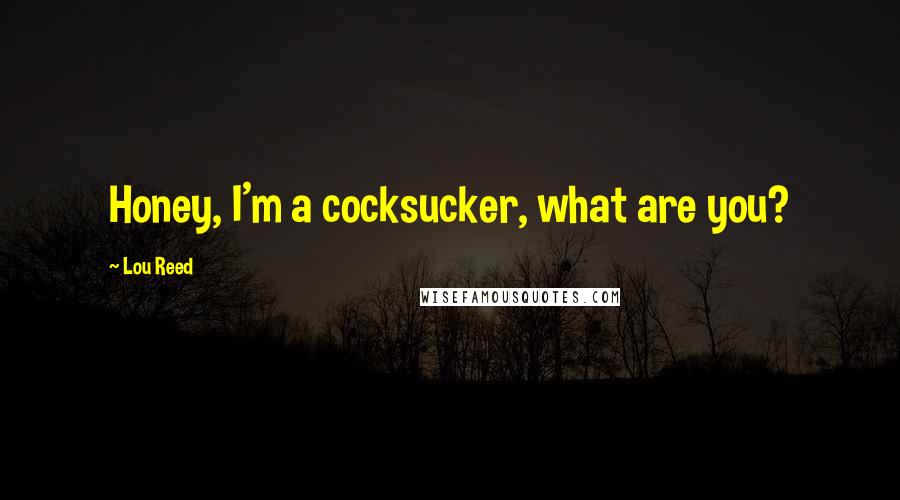 Lou Reed Quotes: Honey, I'm a cocksucker, what are you?