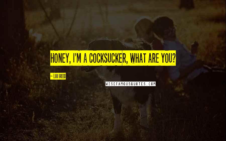Lou Reed Quotes: Honey, I'm a cocksucker, what are you?