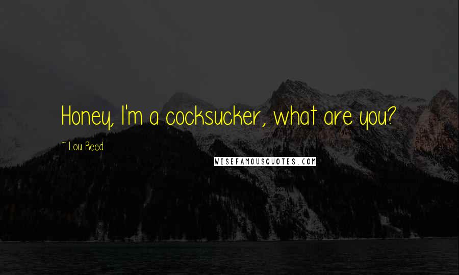 Lou Reed Quotes: Honey, I'm a cocksucker, what are you?