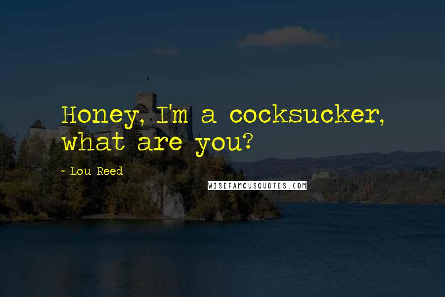 Lou Reed Quotes: Honey, I'm a cocksucker, what are you?