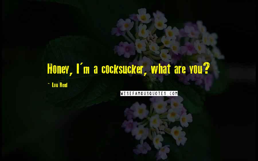 Lou Reed Quotes: Honey, I'm a cocksucker, what are you?