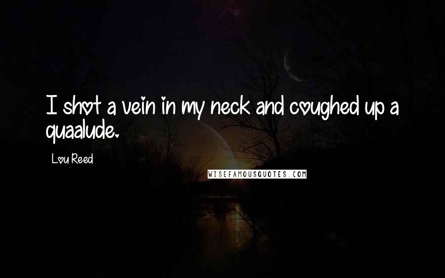 Lou Reed Quotes: I shot a vein in my neck and coughed up a quaalude.