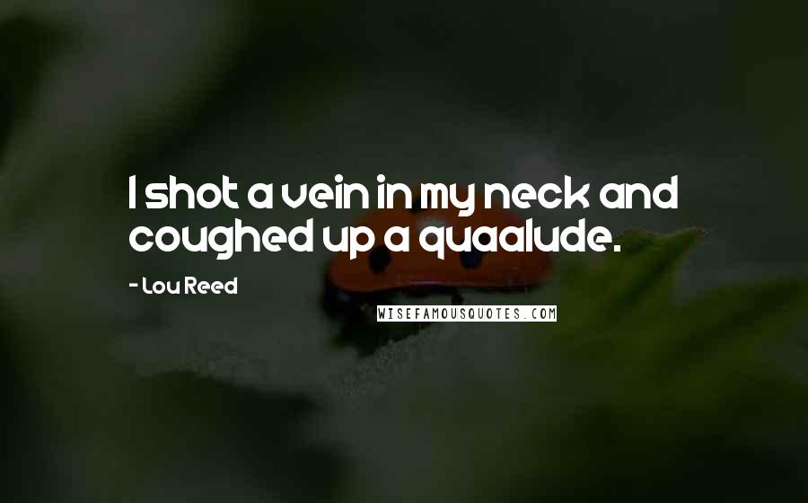 Lou Reed Quotes: I shot a vein in my neck and coughed up a quaalude.