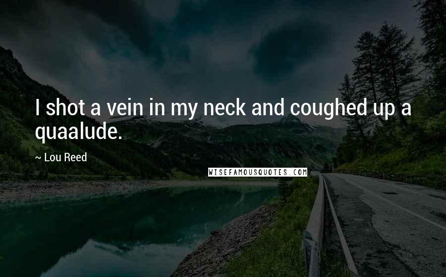 Lou Reed Quotes: I shot a vein in my neck and coughed up a quaalude.