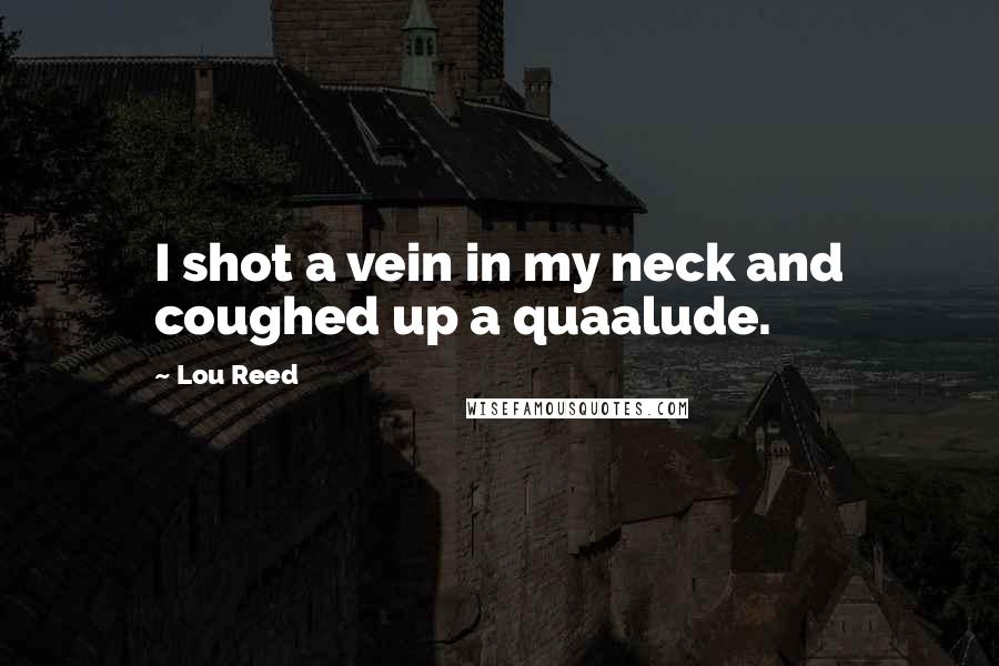 Lou Reed Quotes: I shot a vein in my neck and coughed up a quaalude.