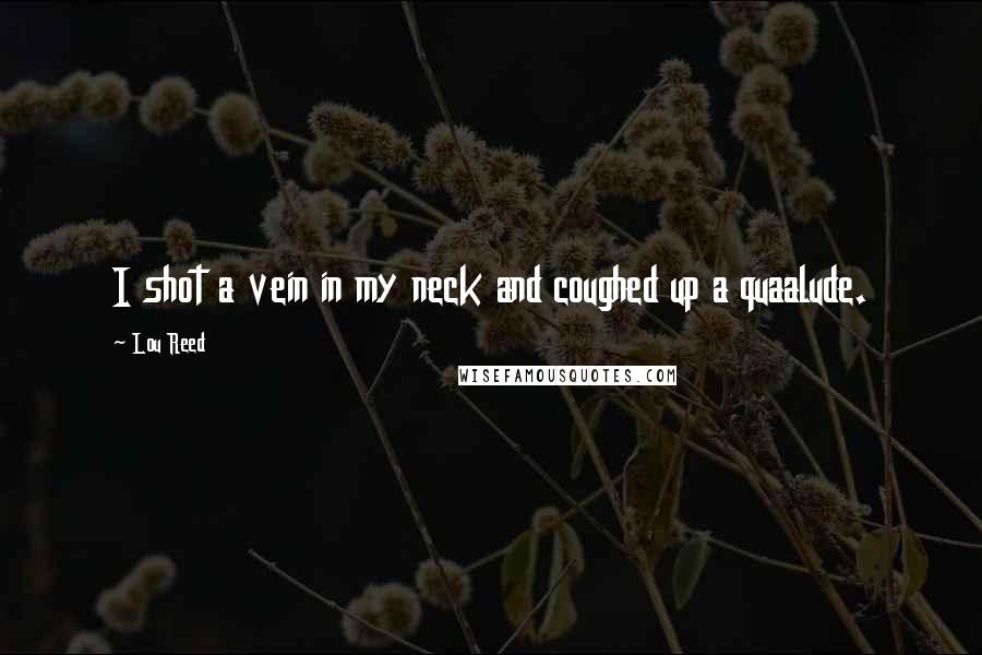 Lou Reed Quotes: I shot a vein in my neck and coughed up a quaalude.