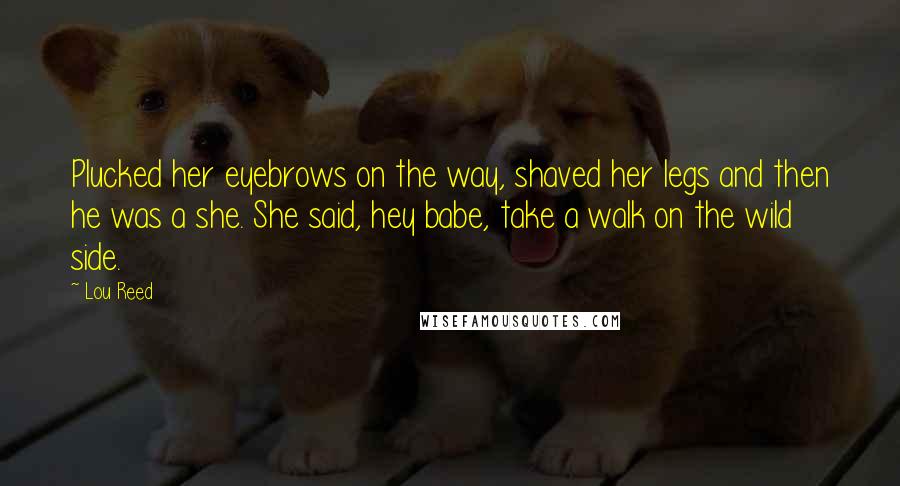 Lou Reed Quotes: Plucked her eyebrows on the way, shaved her legs and then he was a she. She said, hey babe, take a walk on the wild side.