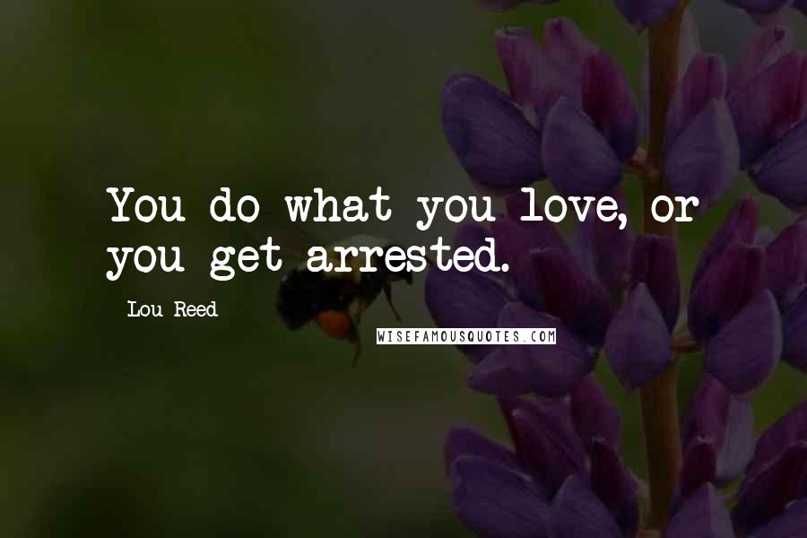 Lou Reed Quotes: You do what you love, or you get arrested.