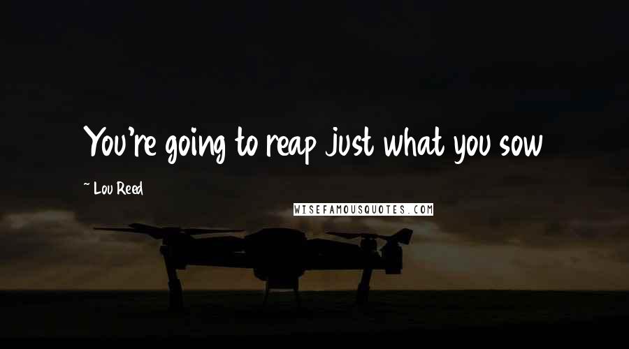 Lou Reed Quotes: You're going to reap just what you sow