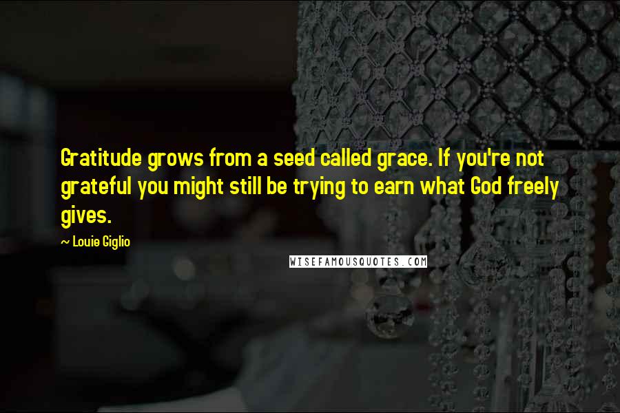 Louie Giglio Quotes: Gratitude grows from a seed called grace. If you're not grateful you might still be trying to earn what God freely gives.