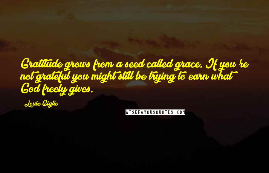 Louie Giglio Quotes: Gratitude grows from a seed called grace. If you're not grateful you might still be trying to earn what God freely gives.