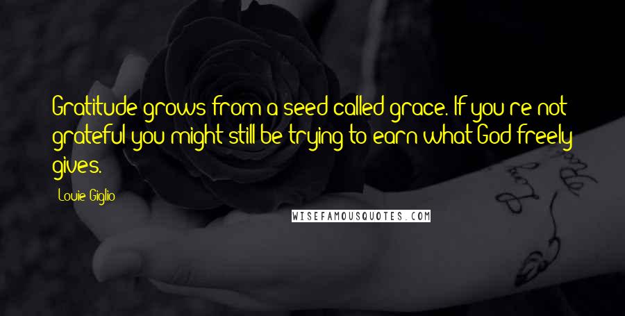 Louie Giglio Quotes: Gratitude grows from a seed called grace. If you're not grateful you might still be trying to earn what God freely gives.