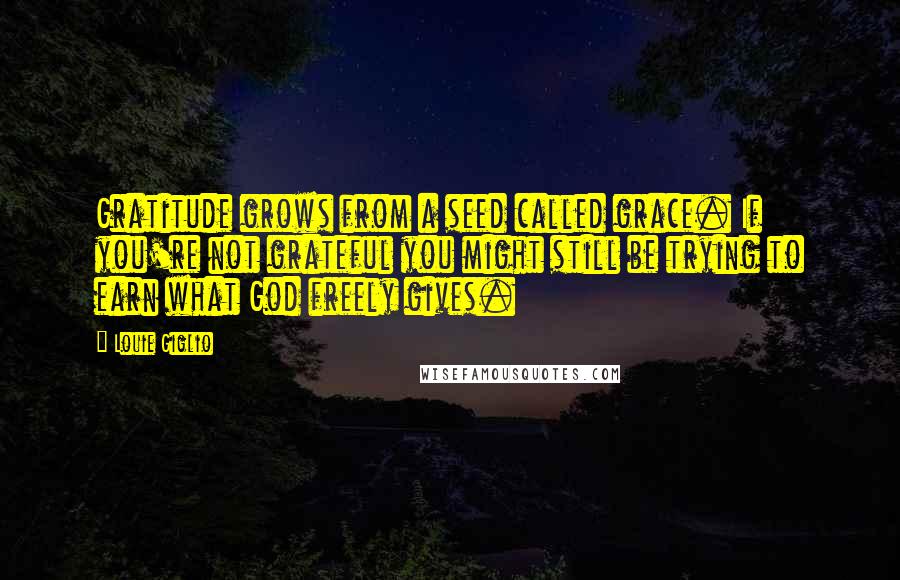 Louie Giglio Quotes: Gratitude grows from a seed called grace. If you're not grateful you might still be trying to earn what God freely gives.