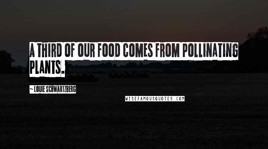 Louie Schwartzberg Quotes: A third of our food comes from pollinating plants.