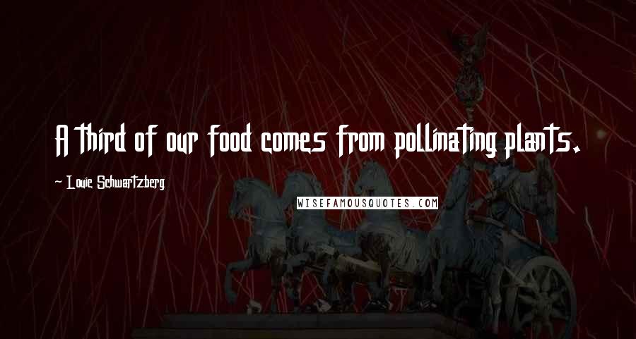 Louie Schwartzberg Quotes: A third of our food comes from pollinating plants.