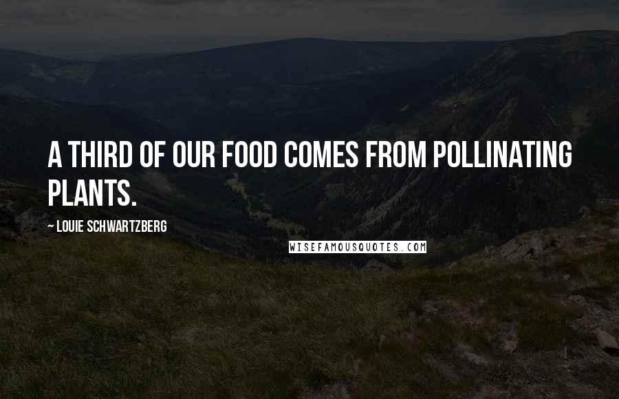 Louie Schwartzberg Quotes: A third of our food comes from pollinating plants.