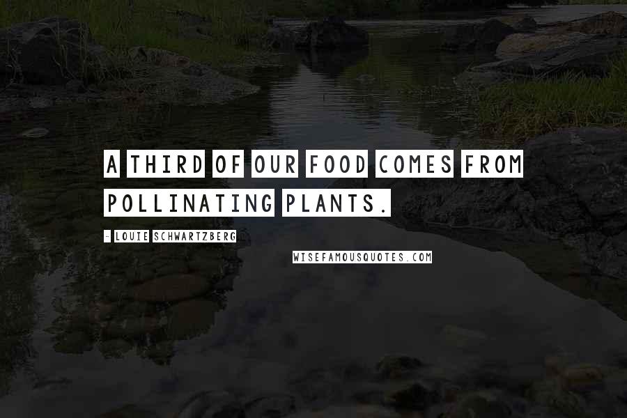 Louie Schwartzberg Quotes: A third of our food comes from pollinating plants.
