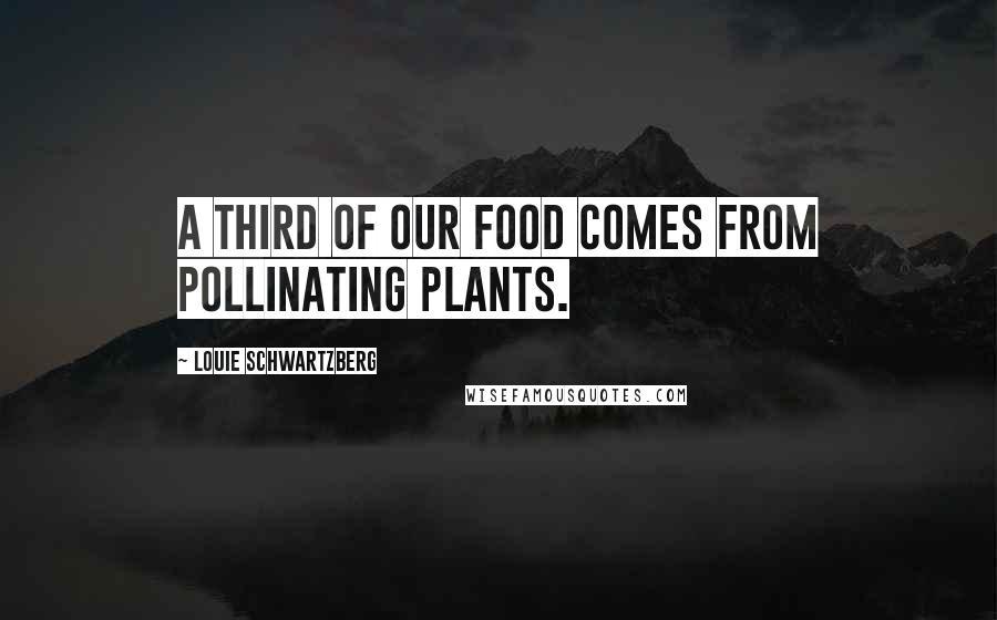 Louie Schwartzberg Quotes: A third of our food comes from pollinating plants.