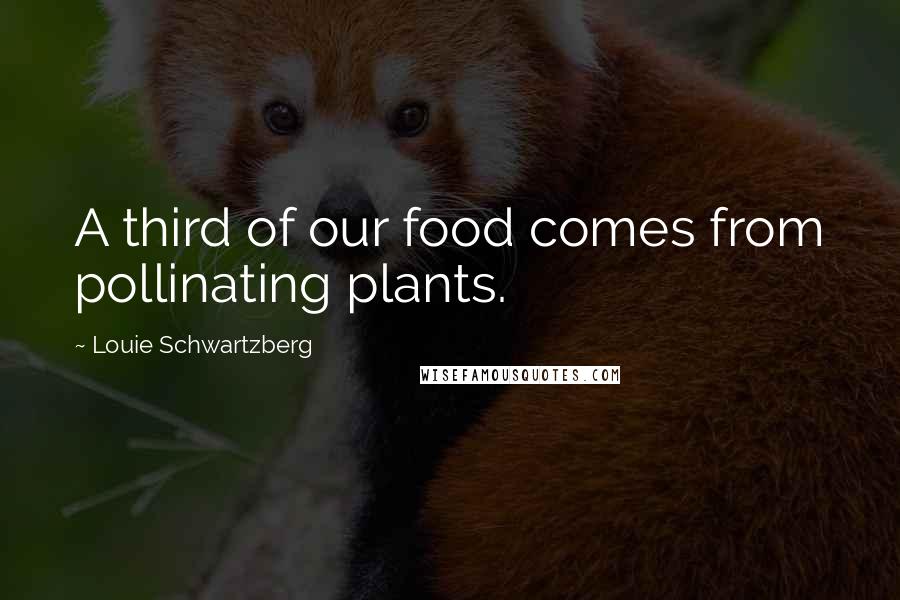 Louie Schwartzberg Quotes: A third of our food comes from pollinating plants.