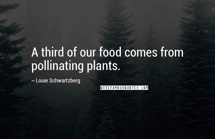 Louie Schwartzberg Quotes: A third of our food comes from pollinating plants.