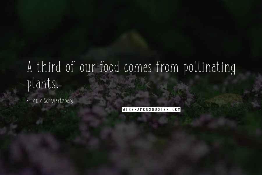 Louie Schwartzberg Quotes: A third of our food comes from pollinating plants.